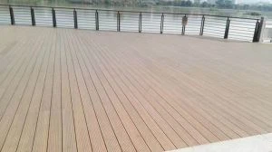 DongJian Bay Park Project